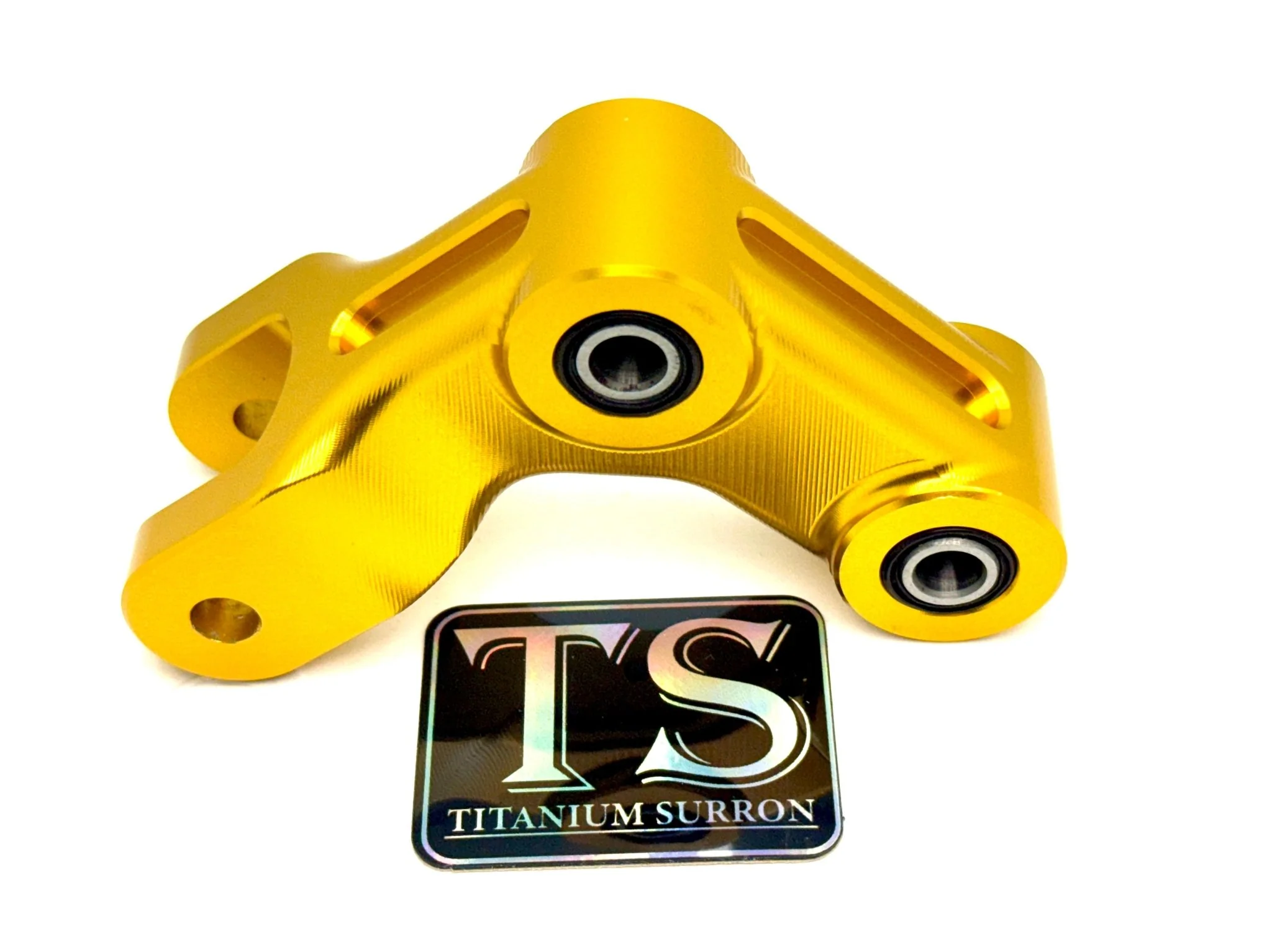 E-Ride Pro (All Models) Custom Rear Suspension Rocker Arm - Image 3