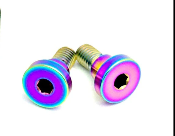 Titanium Battery Lid Bolts - E-Ride Pro - (Two Pcs) - Image 5