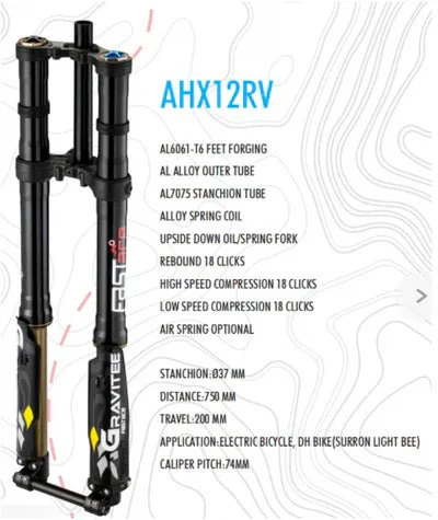 AHX12RV FastAce Gravitee Fork for E-Moto - Image 5