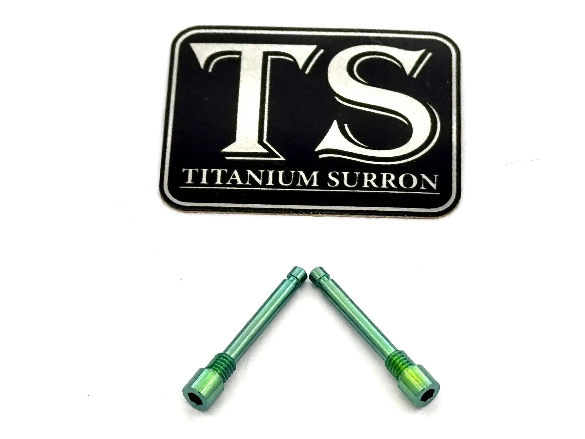 Brake-Pad Screws/ Pins - E-moto (Set of 2) - Image 16
