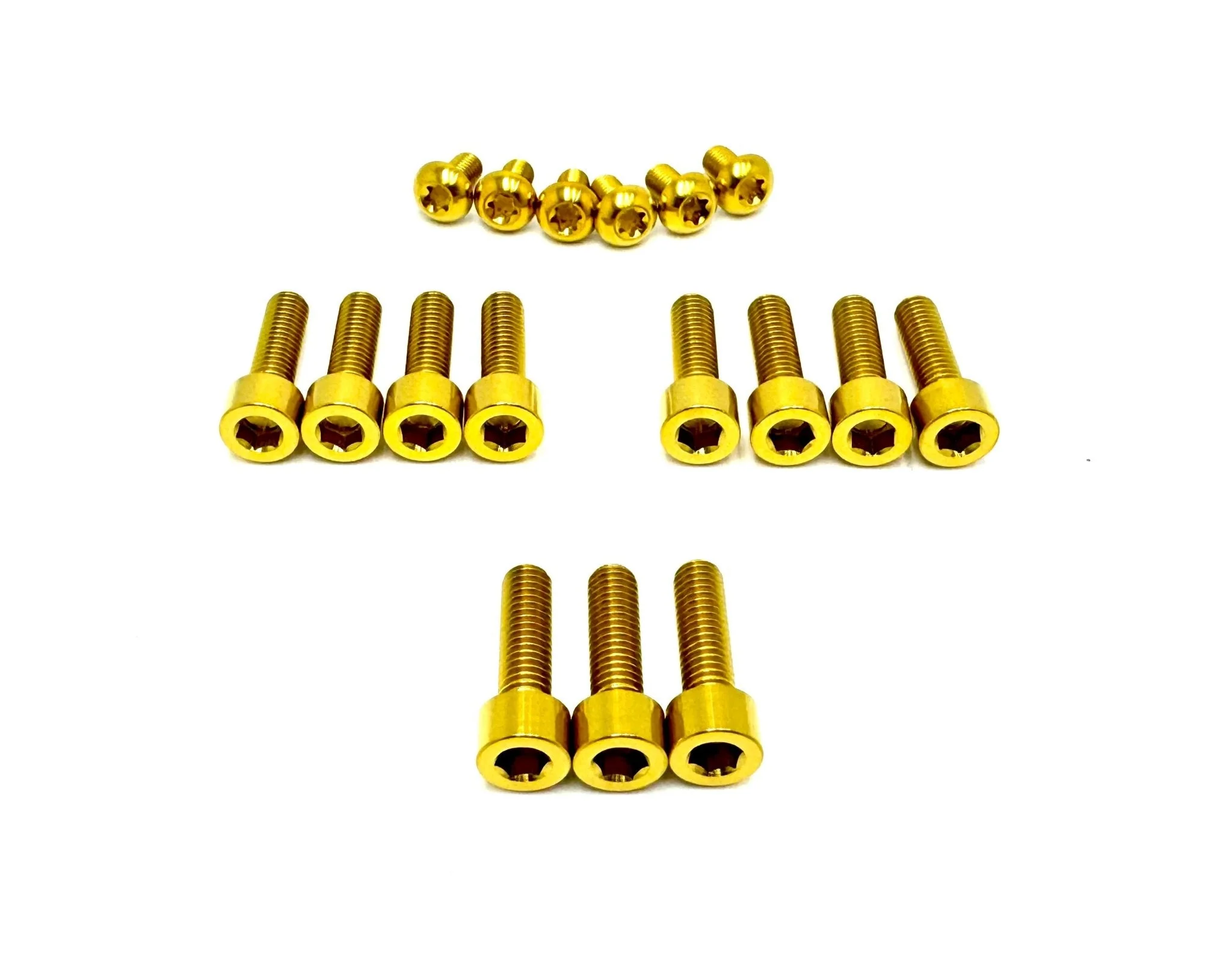 Titanium Bolt Kit for E-Ride Pro SR and Pro SS 3.0 Factory FastAce Fork (ALX32RC) - Image 5