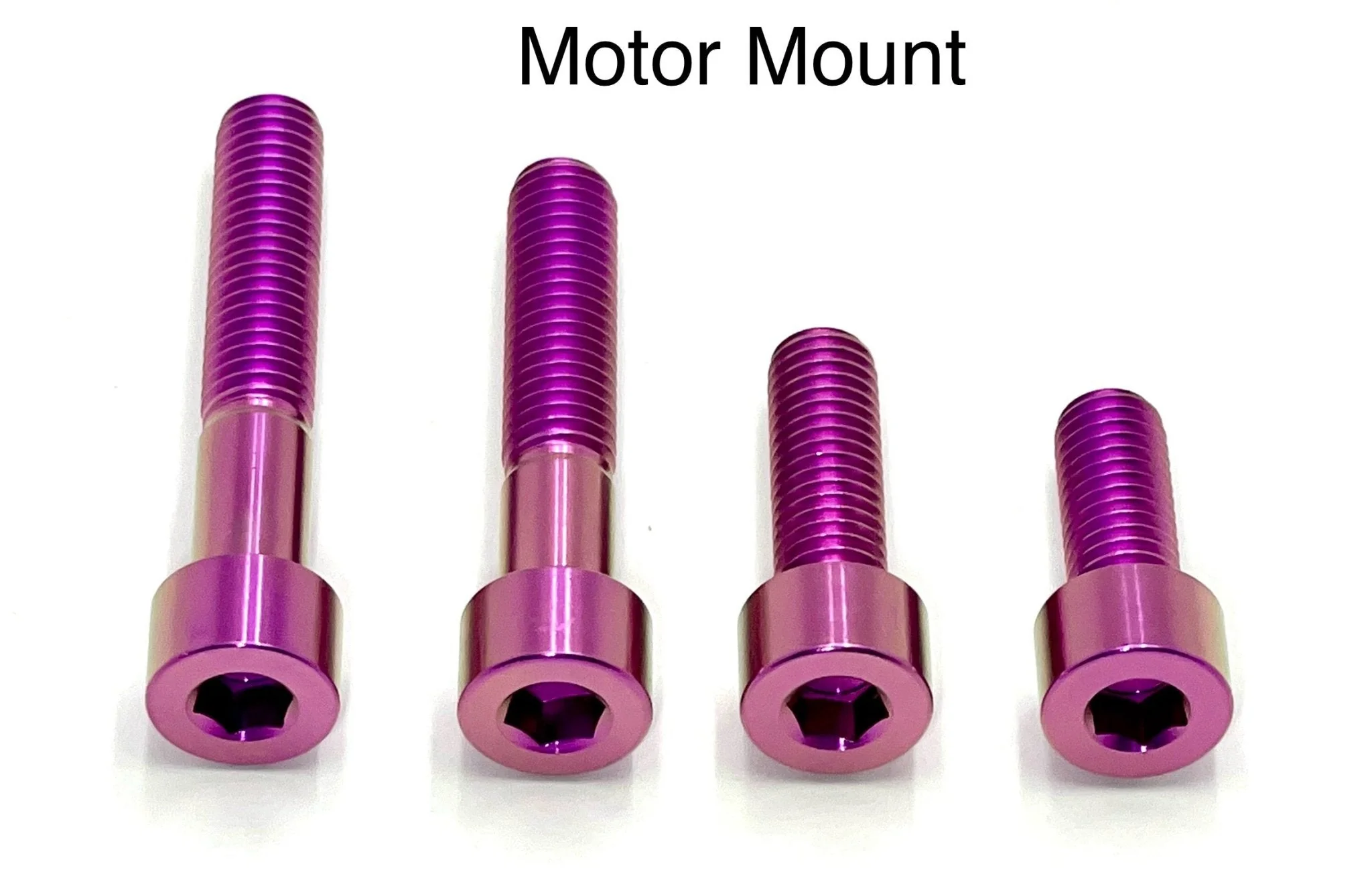 Titanium Motor Bolts - E-Ride Pro (2.0, 3.0, SR) - Image 3