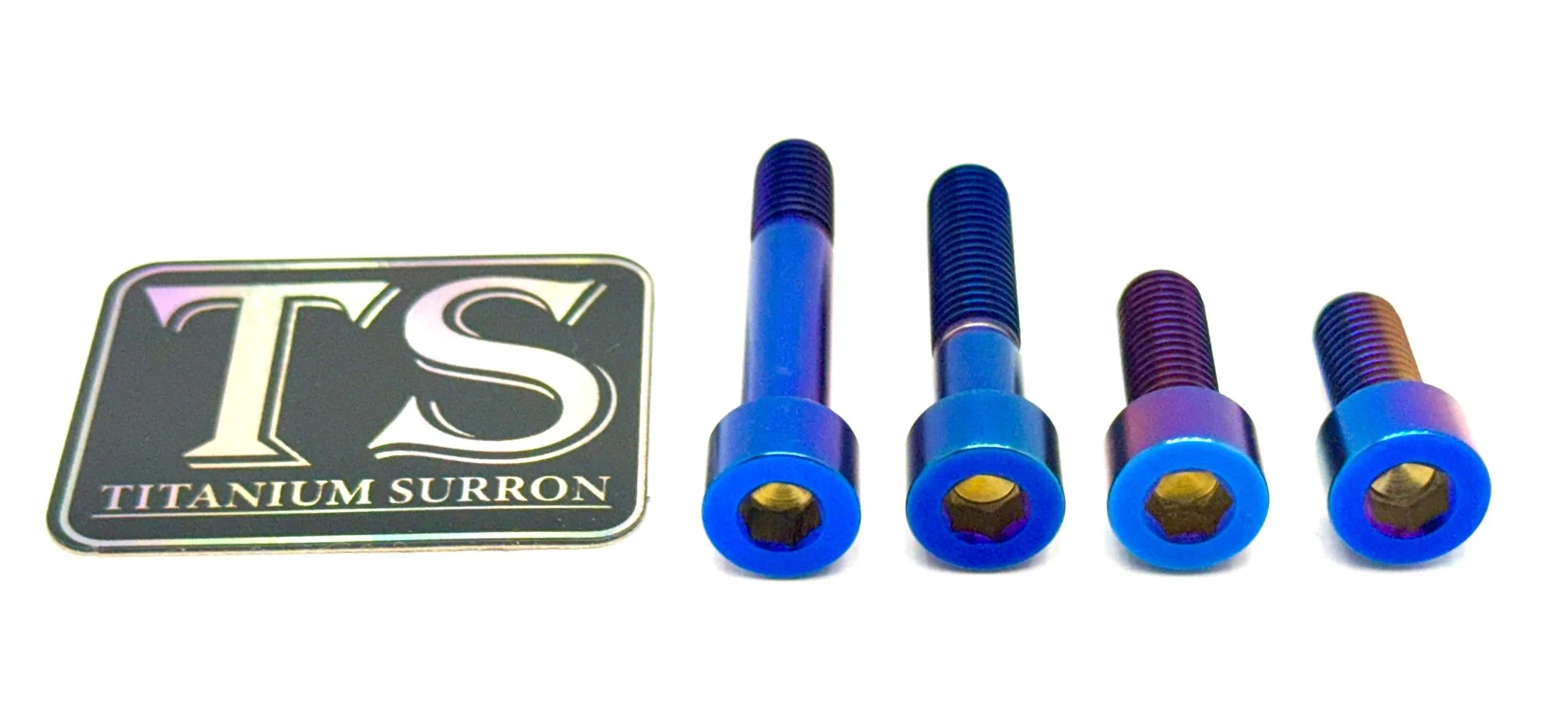 Titanium Motor Bolts - E-Ride Pro (2.0, 3.0, SR) - Image 5