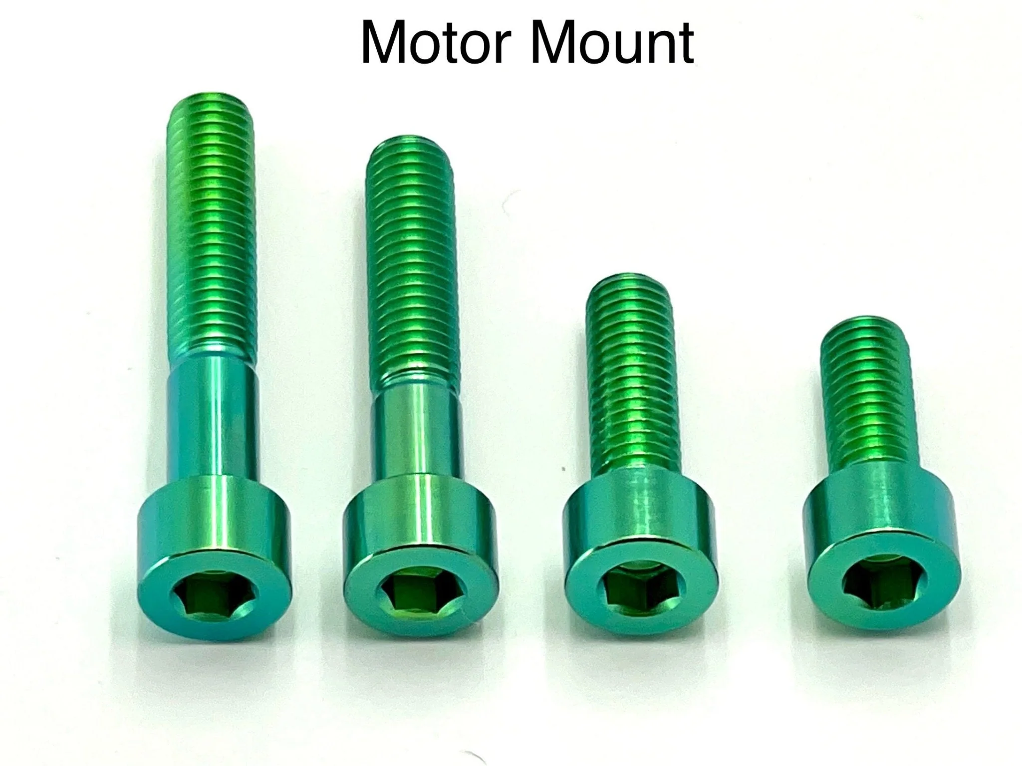 Titanium Motor Bolts - E-Ride Pro (2.0, 3.0, SR) - Image 6