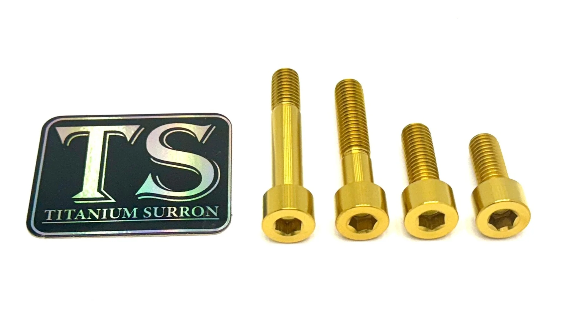 Titanium Motor Bolts - Talaria XXX - Image 8