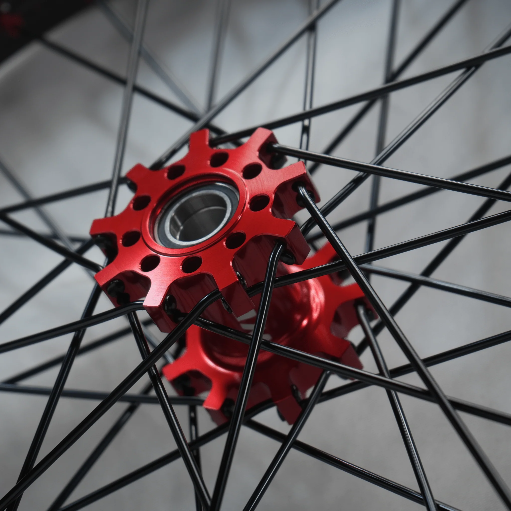 WGT Splattered V2 19x16 Wheel Set - Image 4